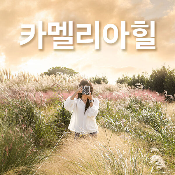 [제주] 카멜리아힐+심쿵혜택