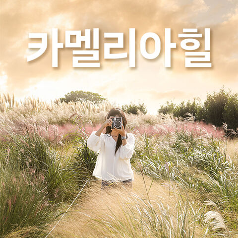 [제주] 카멜리아힐+심쿵혜택 상품 이미지