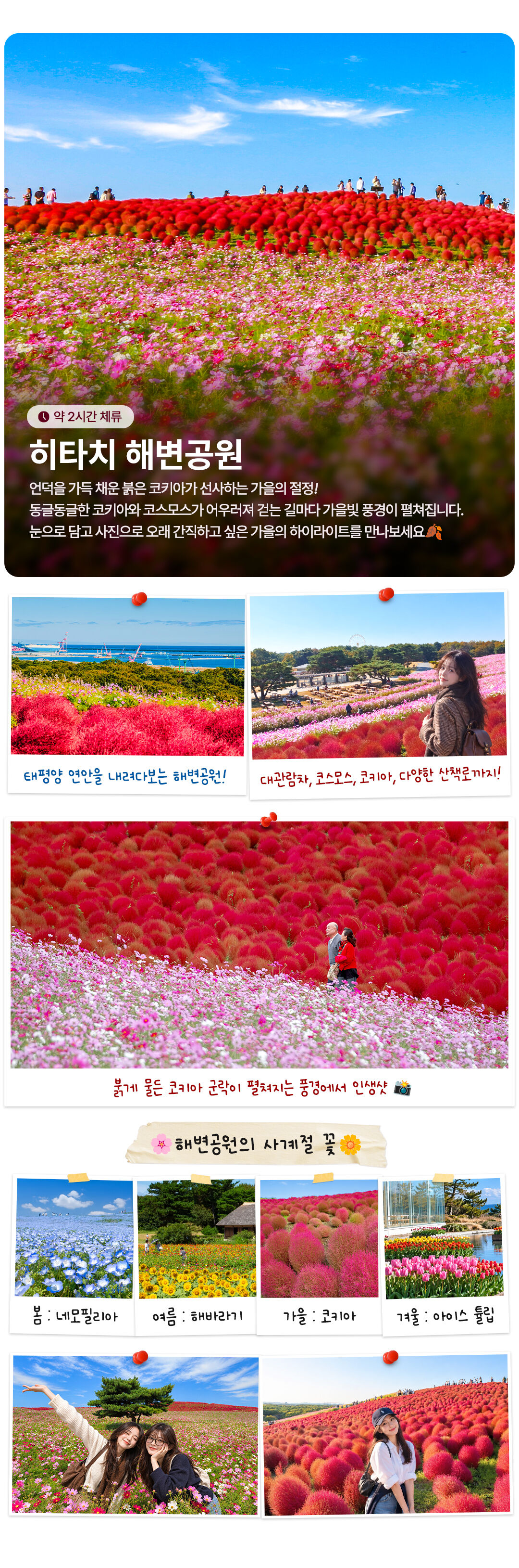 투어·티켓 상품 상세 이미지 5