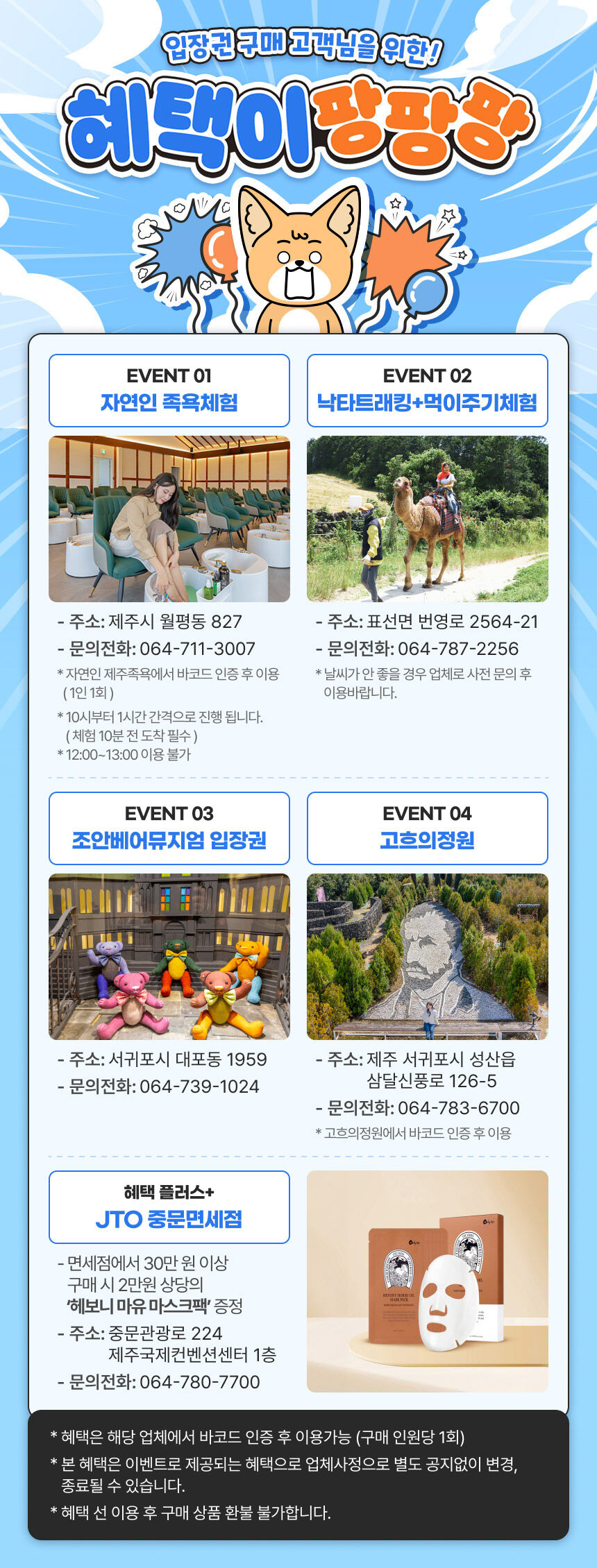 [제주] 카멜리아힐 + 고흐의정원 (+추가 관광지 혜택증정) 상세 이미지 3