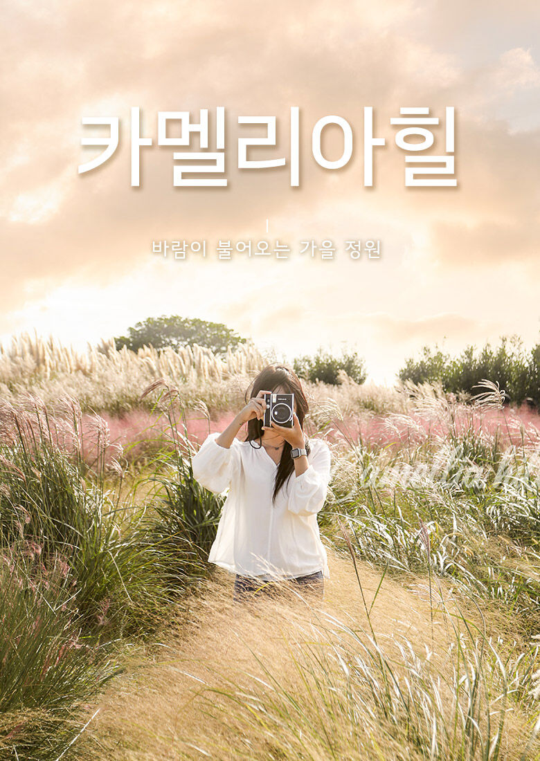 [제주] 카멜리아힐+심쿵혜택 상세 이미지 1