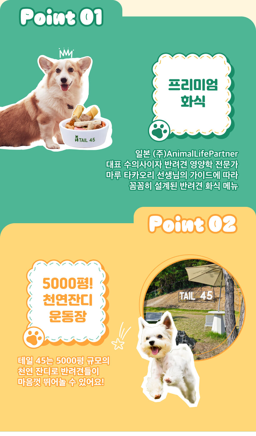 [용인] 테일45 5천평 규모 반려견 운동장 상세 이미지 7