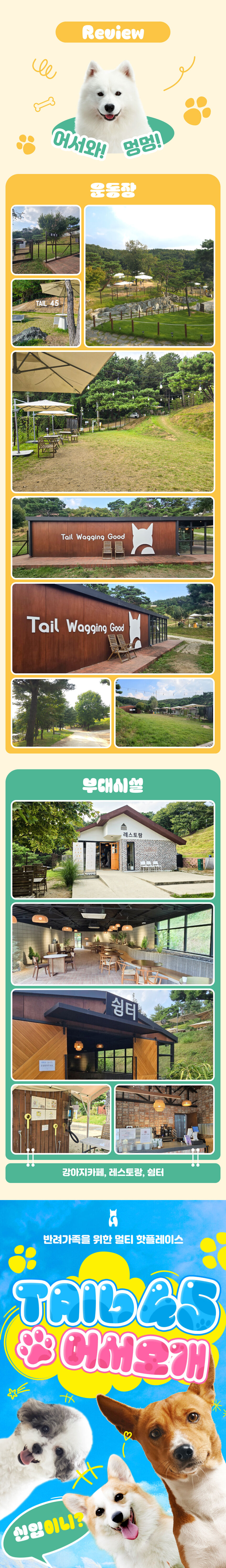 [용인] 테일45 5천평 규모 반려견 운동장 상세 이미지 8