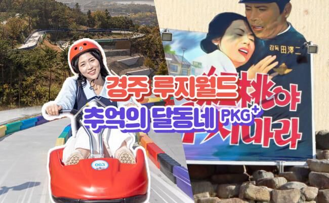 [경주] 경주여행은 여기로! 루지월드+추억의달동네 패키지