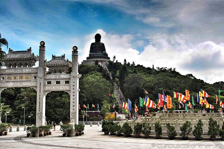 대 불상 (Big Buddha)과 타이 오 (Tai O)를 포함한 란타우 섬 (Lantau Island)의 1 일간 개별 투어