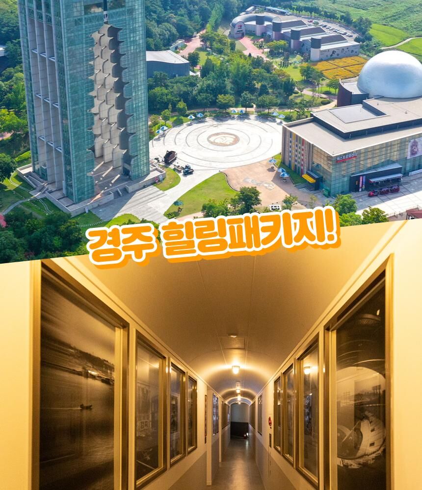 [경주] 동궁원+코오롱호텔 타임애프터타임 전시회 패키지 상세 이미지 19