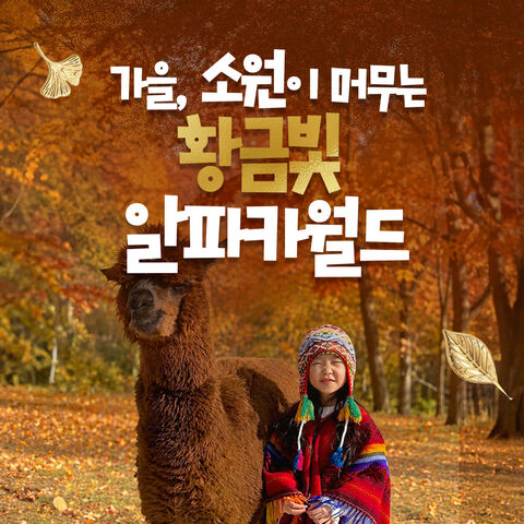 강원도 티켓·입장권 - [홍천] 알파카월드 입장권