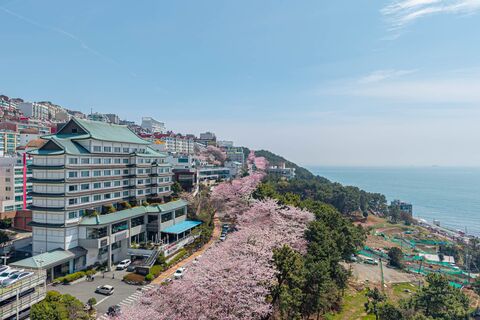 부산 숙소 - 해운대 호텔 일루아