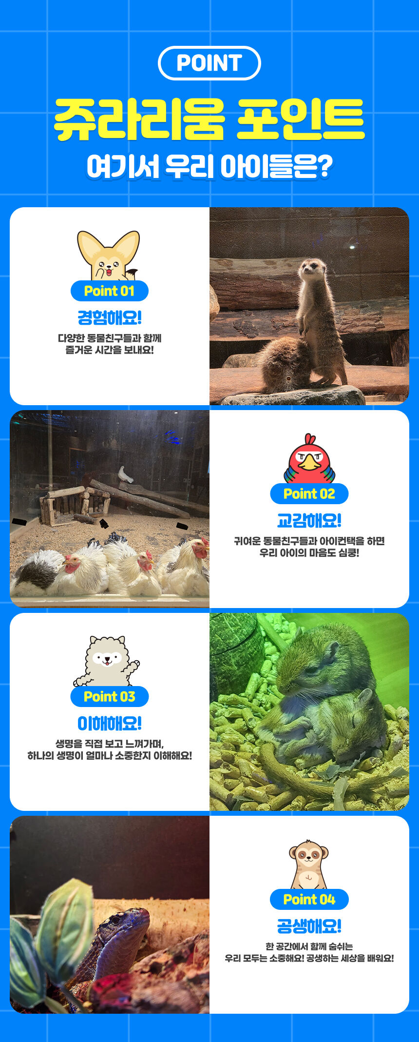 투어·티켓 상품 상세 이미지 6