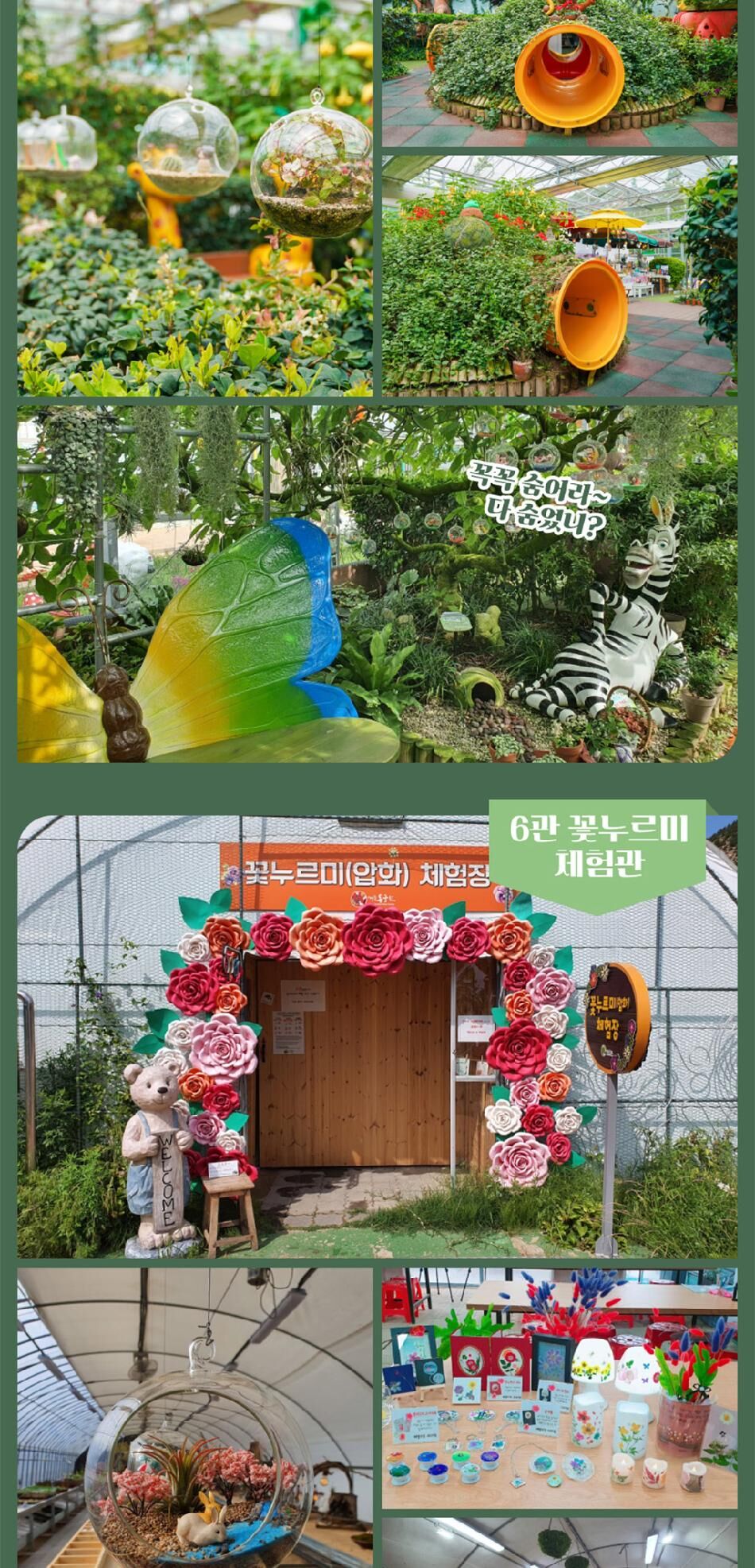 [경주] 동궁원+엑스포대공원 패키지 상세 이미지 13