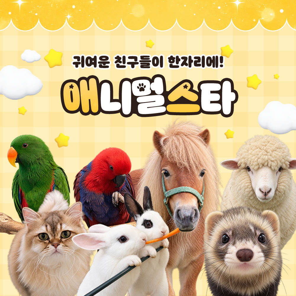 대전 아이랑 가볼만한곳!!애니멀스타(실내동물원&동물체험)