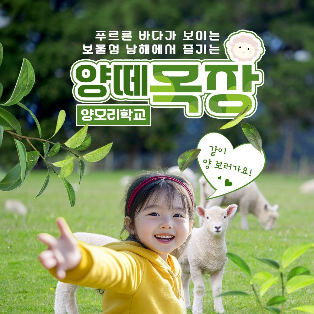 [남해아이와가볼만한곳] 남해양떼목장 양모리학교 이용권