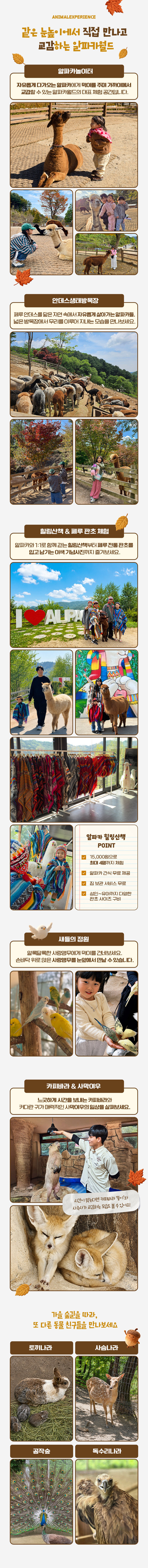 [홍천] 알파카월드 입장권 상세 이미지 3