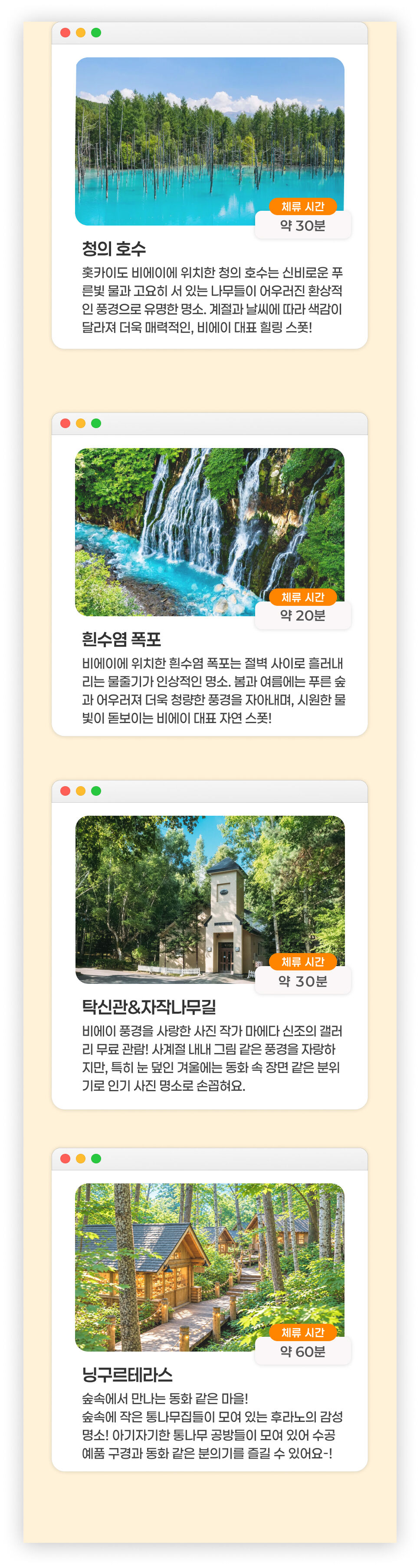 [준페이 예약] 북해도 삿포로역 출발 비에이 후라노 일일 버스투어 홋카이도 하루하루투어 상세 이미지 7