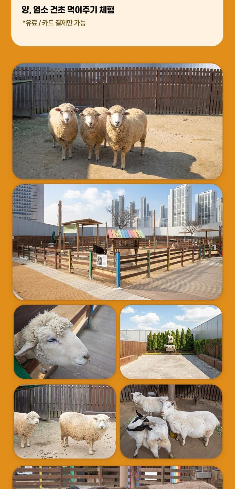 [일산] 아쿠아플라넷 입장권(10/1~10/31) 상세 이미지 12