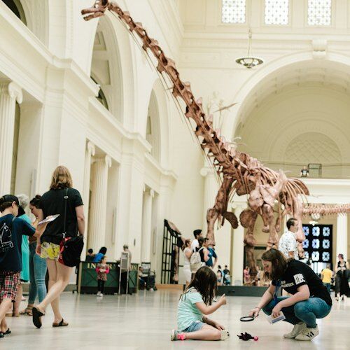 The Field Museum of Natural History: 입장권