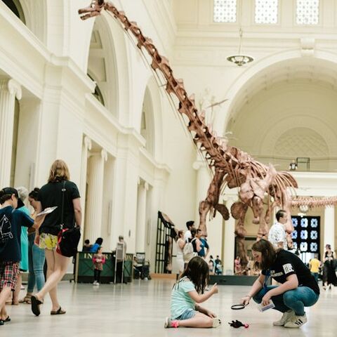 시카고 티켓·입장권 - The Field Museum of Natural History: 입장권