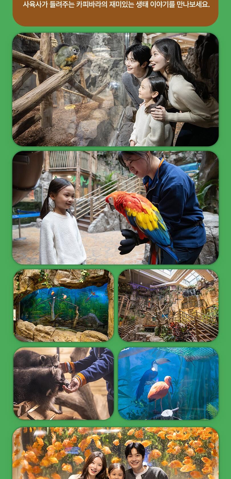 [일산] 아쿠아플라넷 입장권(10/1~10/31) 상세 이미지 10