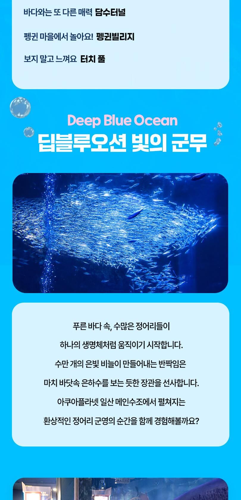 [일산] 아쿠아플라넷 입장권(10/1~10/31) 상세 이미지 6