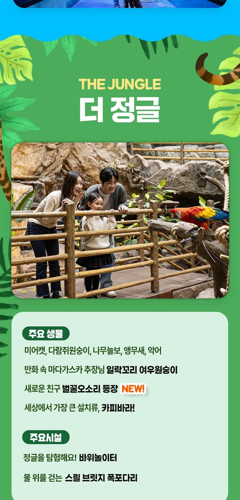 [일산] 아쿠아플라넷 입장권(10/1~10/31) 상세 이미지 8