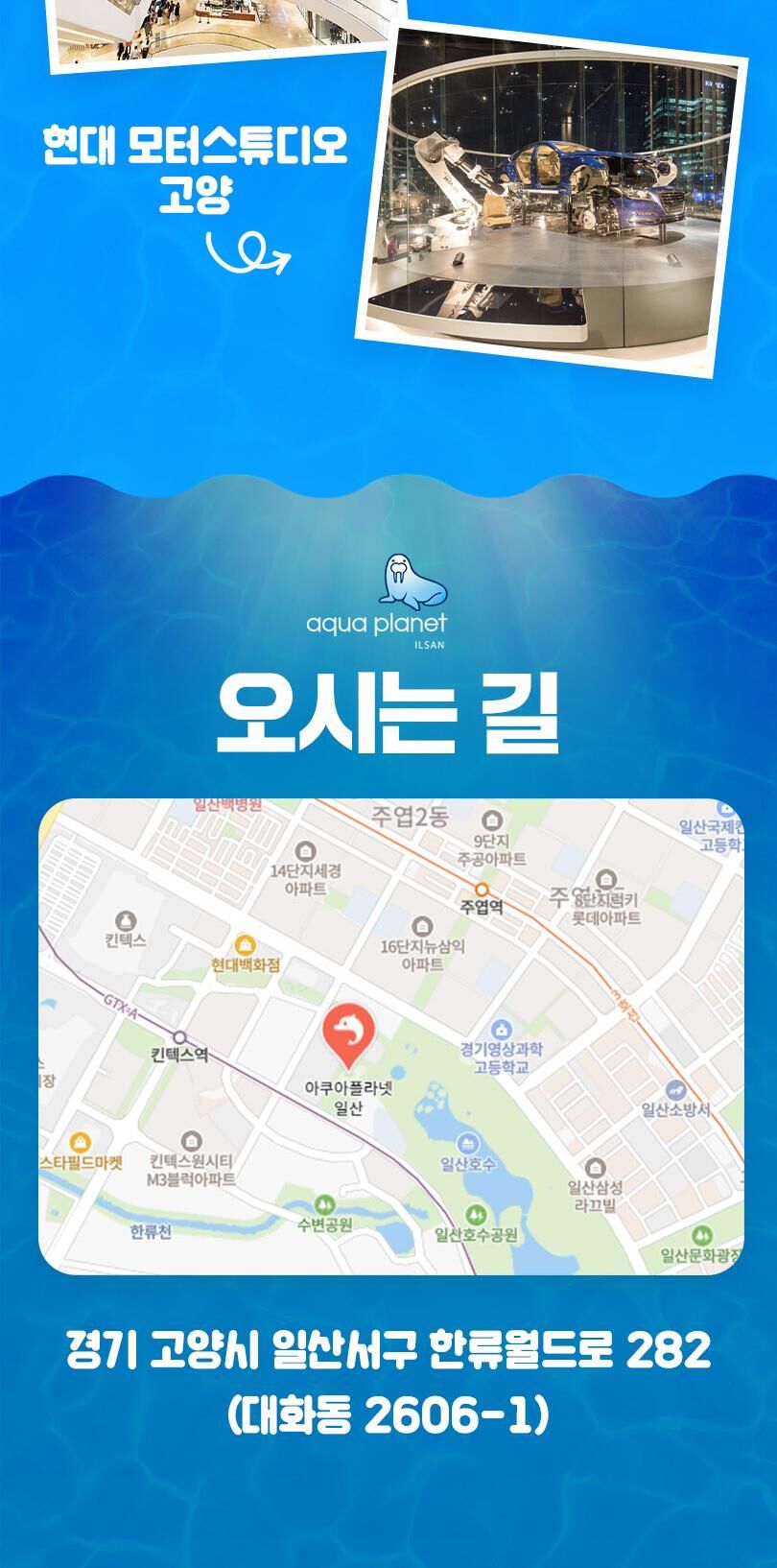 [일산] 아쿠아플라넷 입장권(10/1~10/31) 상세 이미지 14