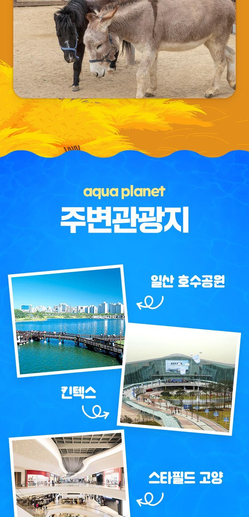 [일산] 아쿠아플라넷 입장권(10/1~10/31) 상세 이미지 13