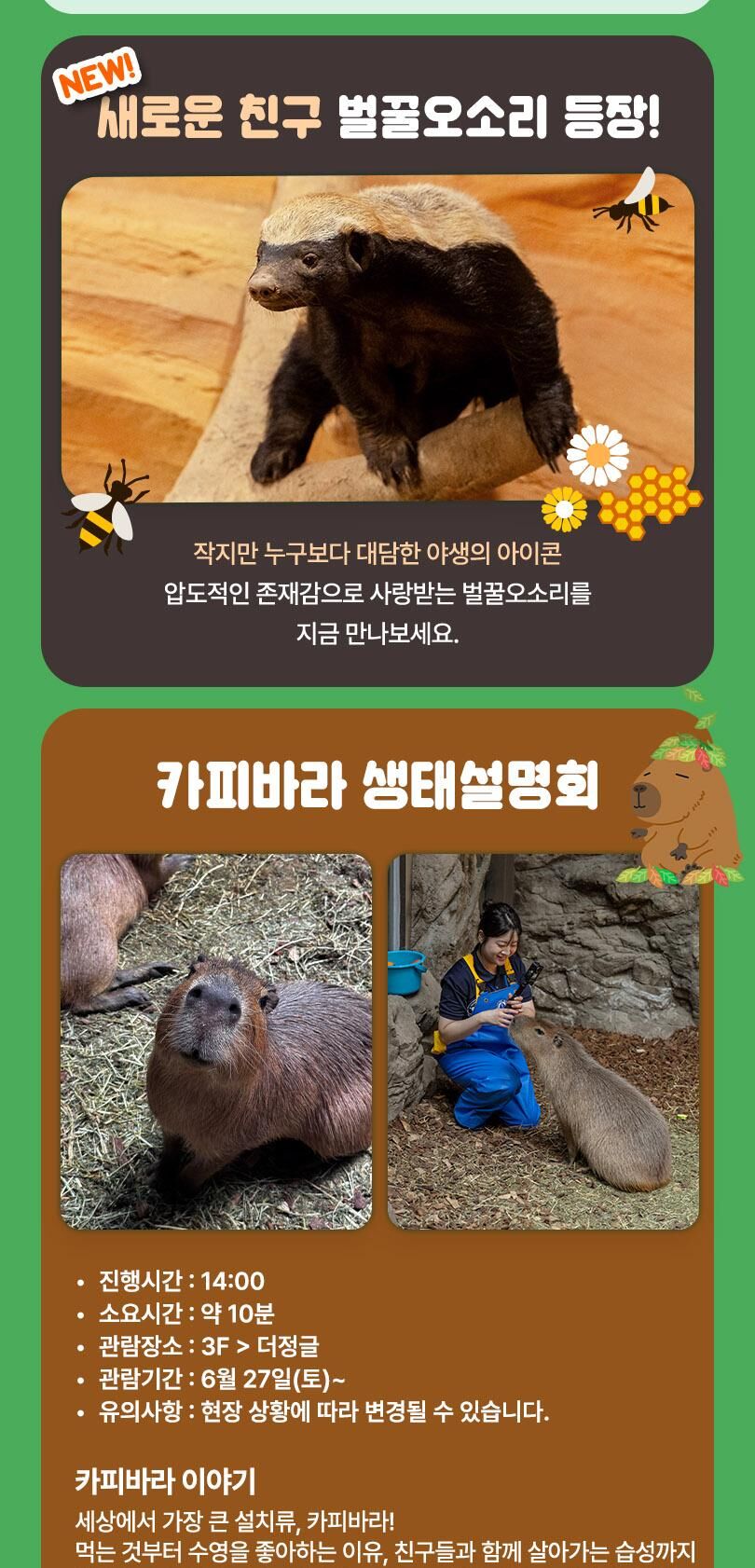 [일산] 아쿠아플라넷 입장권(10/1~10/31) 상세 이미지 9