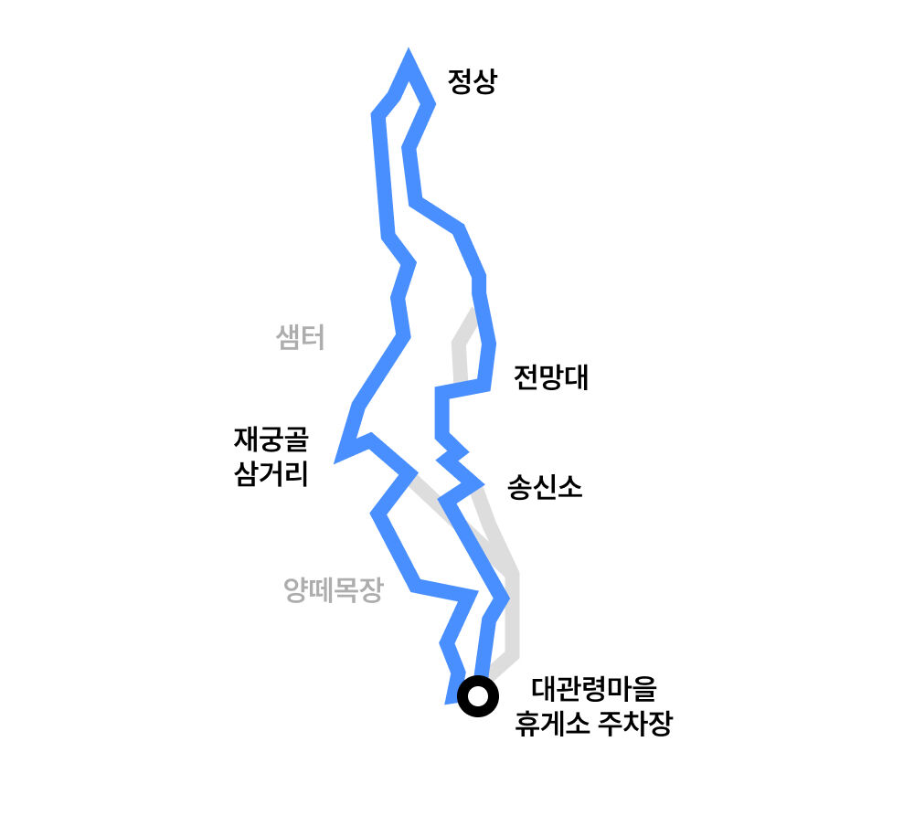 [선자령] 대관령 코스 | 초원과 거대 풍력발전기가 이루는 한국의 알프스 상세 이미지 11