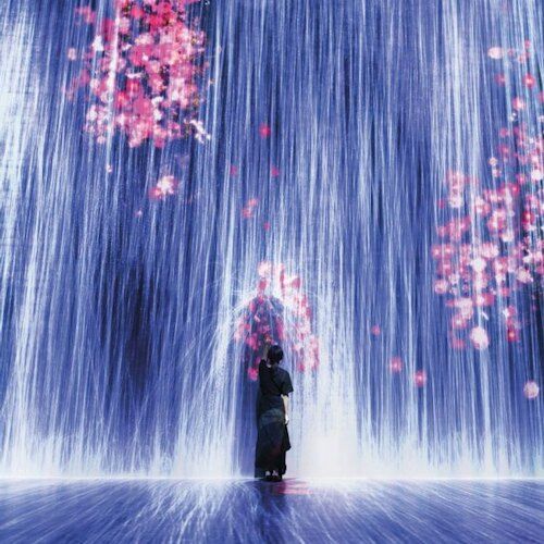 슈퍼블루 마이애미 몰입형 예술 체험 feat. teamLab