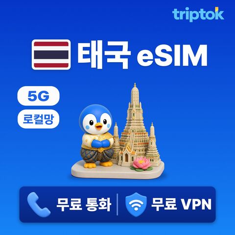 방콕 여행 준비물 - 태국 로컬망 eSIM e심 5G 무제한데이터 전화/VPN 무료 방콕 푸켓