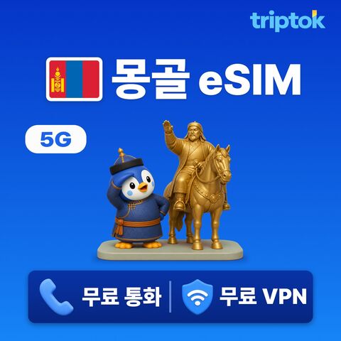 울란바토르 여행 준비물 - 몽골 전지역 울란바토르 eSIM e심 데이터