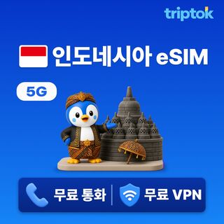 델리 여행 준비물 - 인도네시아 전지역 발리 eSIM e심 데이터
