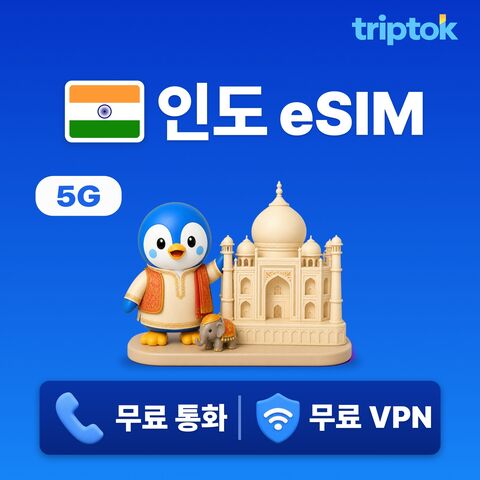 델리 여행 준비물 - 인도 전지역 델리 eSIM e심 데이터