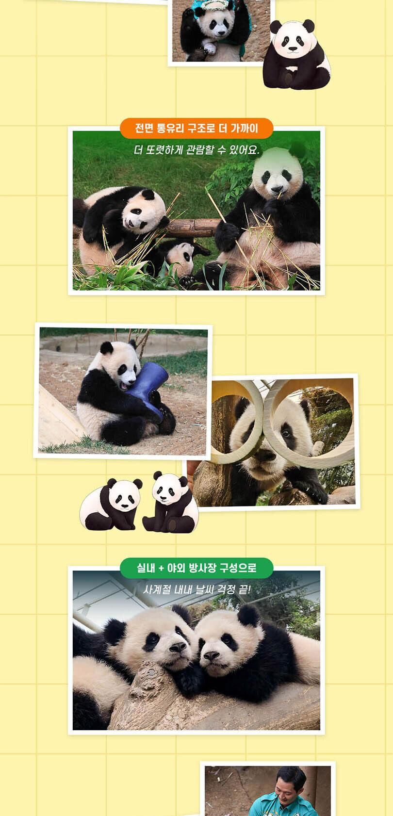 [용인] 에버랜드 Q-PASS: 판다 세컨하우스 (~10/31) 상세 이미지 5