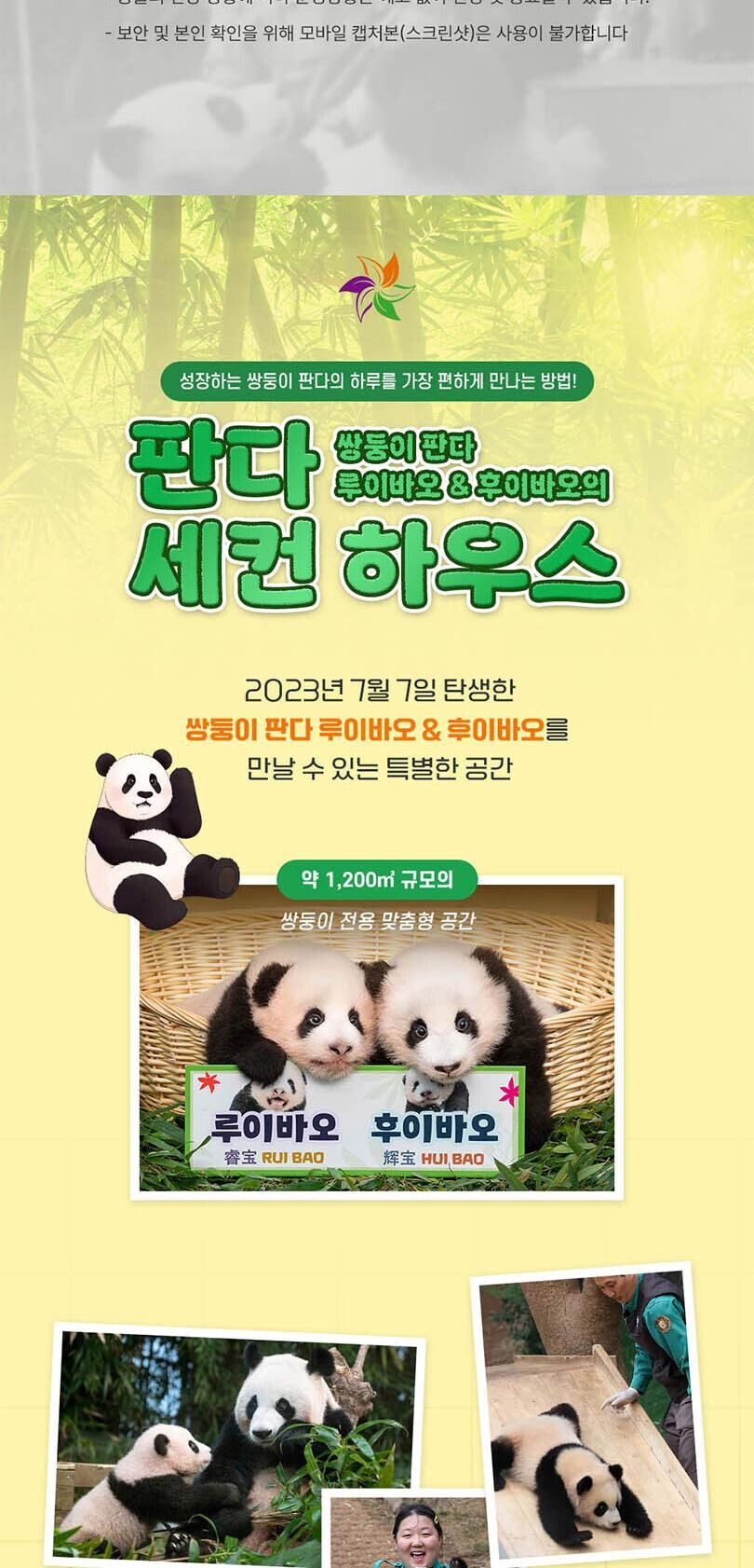 [용인] 에버랜드 Q-PASS: 판다 세컨하우스 (~10/31) 상세 이미지 4