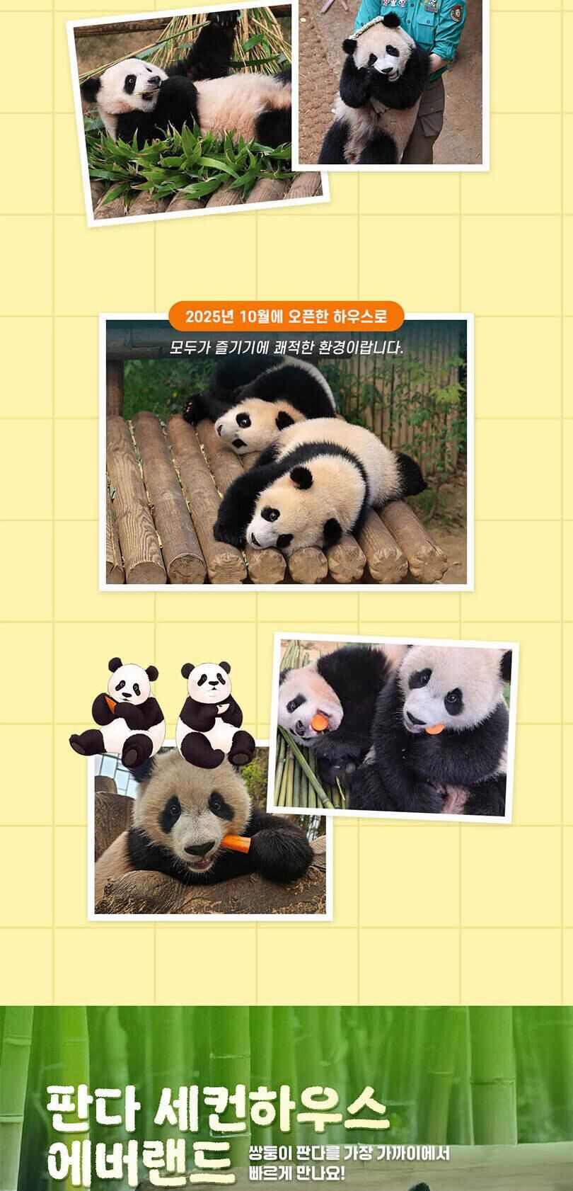 [용인] 에버랜드 Q-PASS: 판다 세컨하우스 (~10/31) 상세 이미지 6