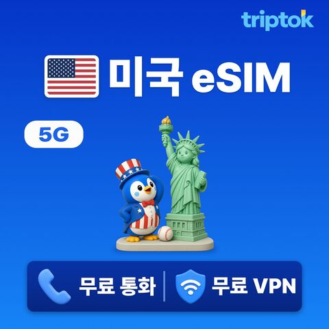 뉴욕 여행 준비물 - 미국 전지역 뉴욕 LA eSIM e심 데이터