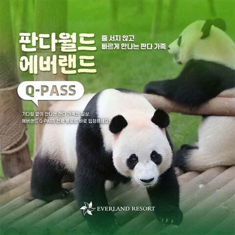 용인 티켓·입장권 - [용인] 에버랜드 Q-PASS: 판다월드 (~10/31)
