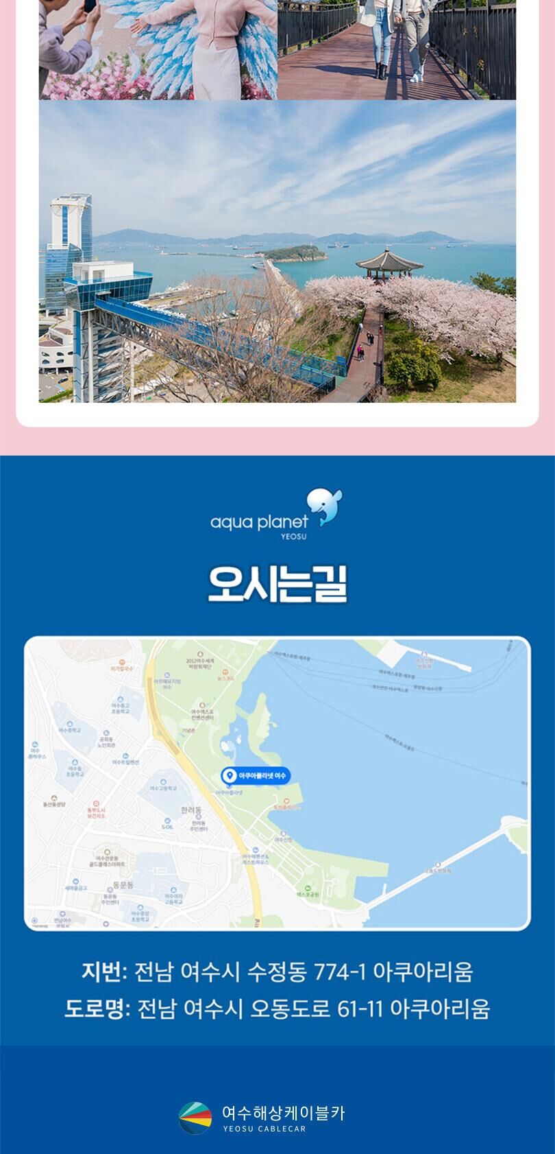 아쿠아플라넷 여수 + 해상케이블카 PKG (10/1~10/31) 상세 이미지 29