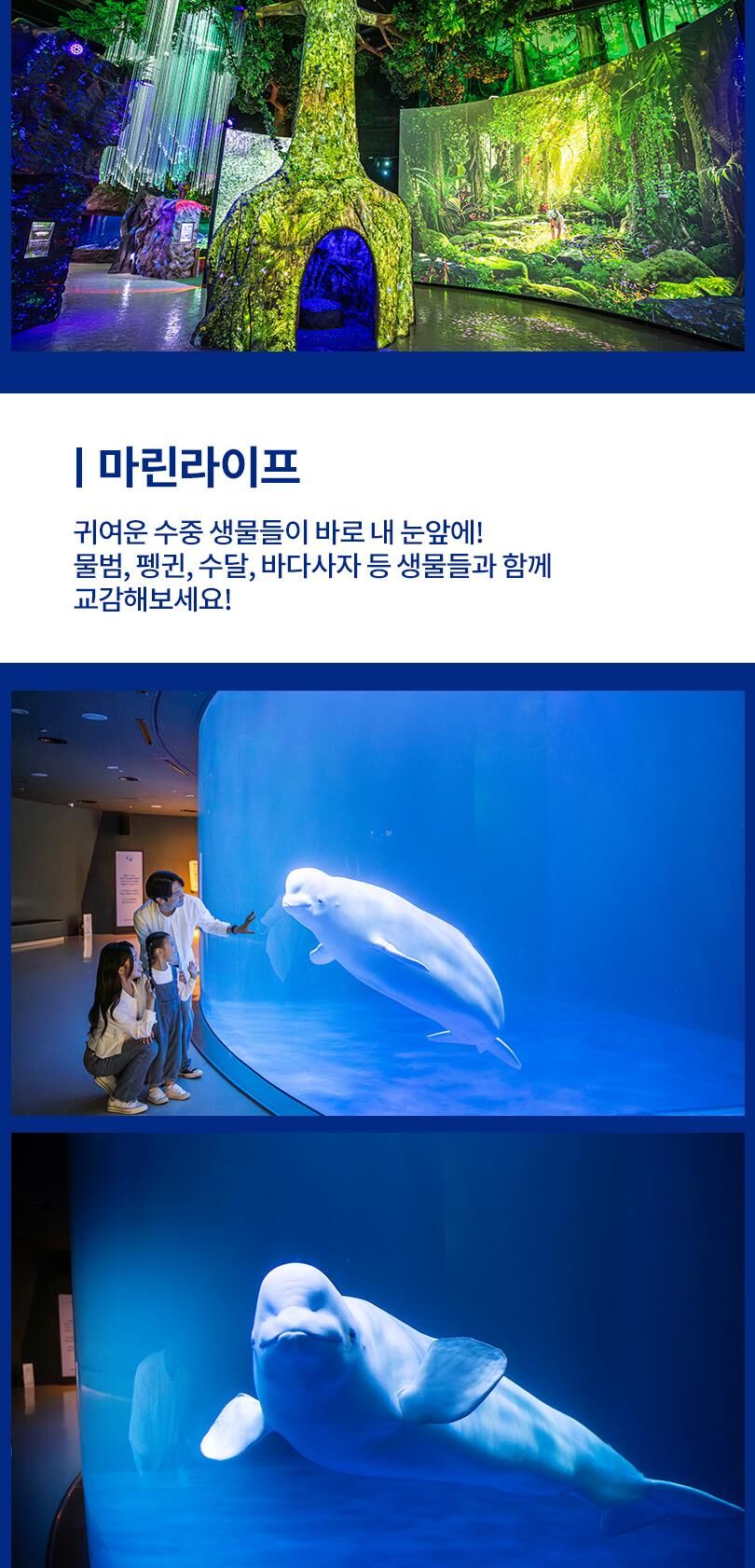 아쿠아플라넷 여수 + 해상케이블카 PKG (10/1~10/31) 상세 이미지 7