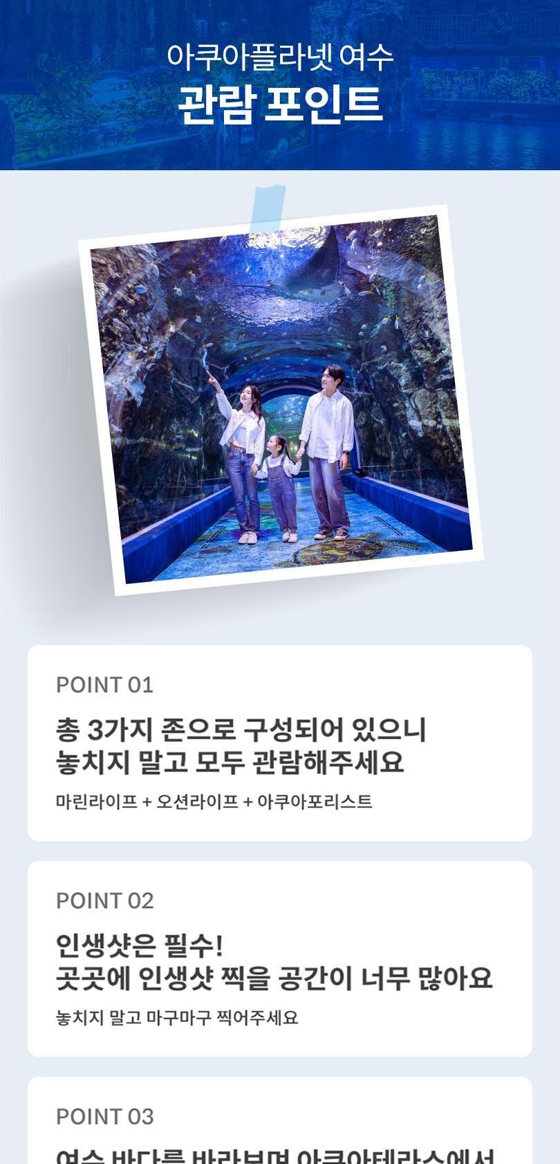 아쿠아플라넷 여수 + 해상케이블카 PKG (10/1~10/31) 상세 이미지 4