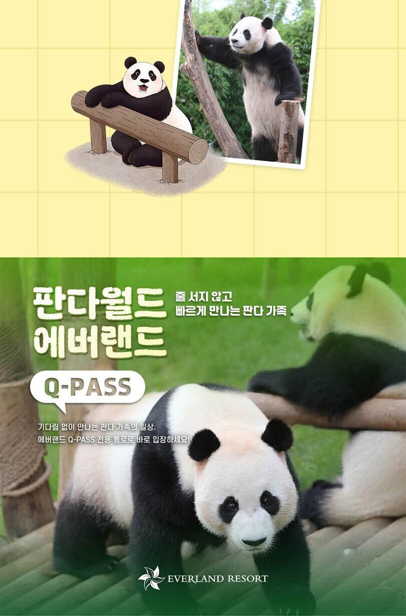 [용인] 에버랜드 Q-PASS: 판다월드 (~10/31) 상세 이미지 6