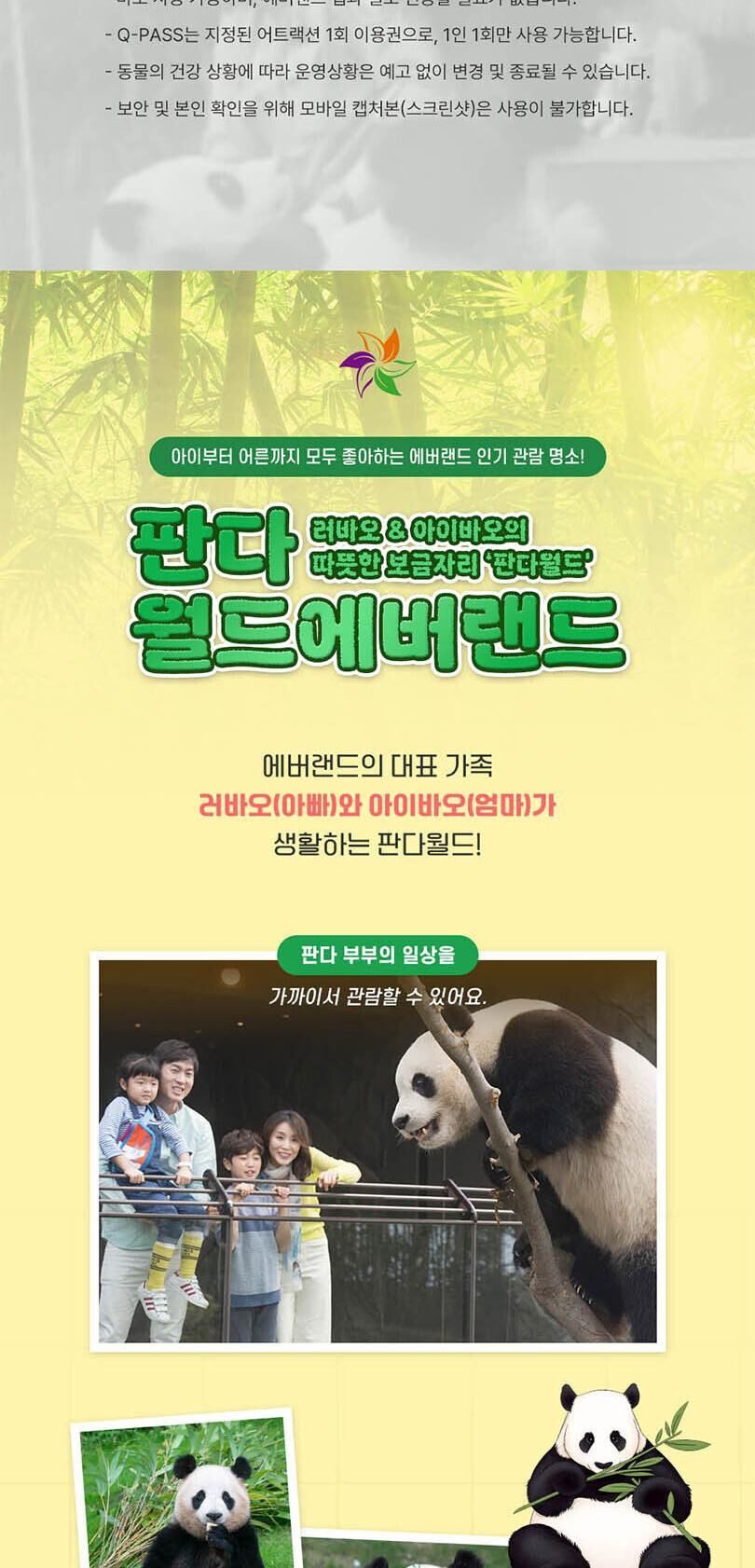 [용인] 에버랜드 Q-PASS: 판다월드 (~10/31) 상세 이미지 4