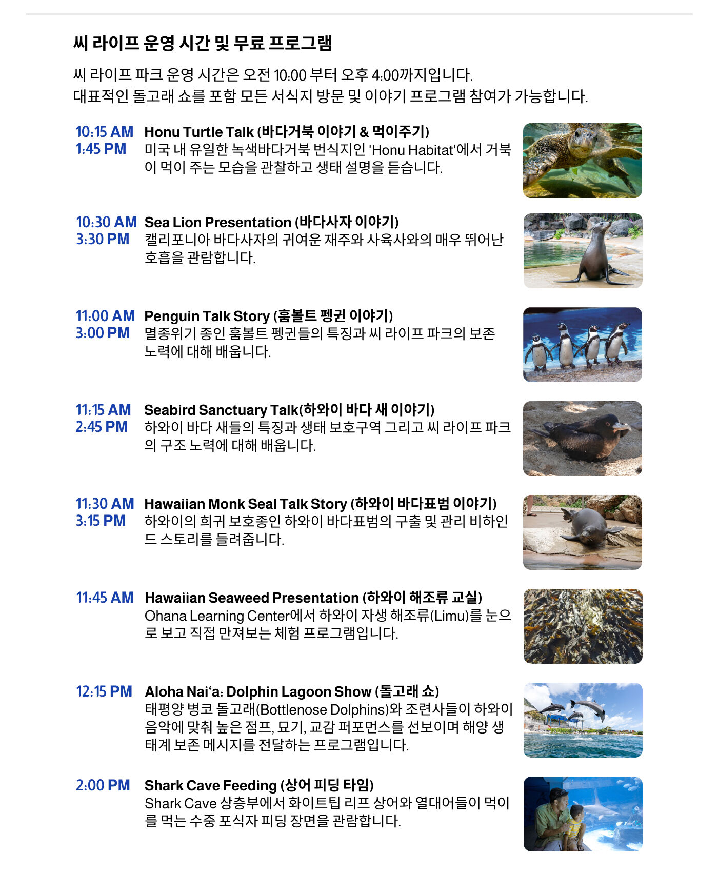 [하와이 씨 라이프 파크] 돌고래 탐험 / 돌핀 익스플로션 상세 이미지 3
