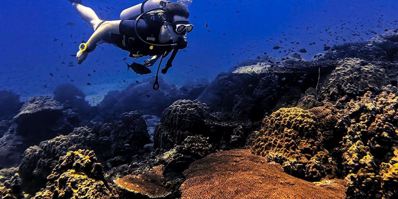 PADI 오픈 워터 다이버 자격증 취득 코스 (2.5일, 사진·영상 포함) 상세 이미지 3