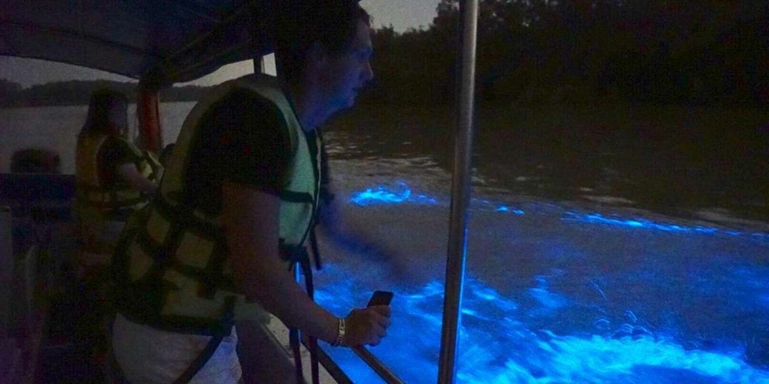 쿠알라 셀랑고르 반딧불 크루즈 + 블루 티어스 야간 투어 상세 이미지 3
