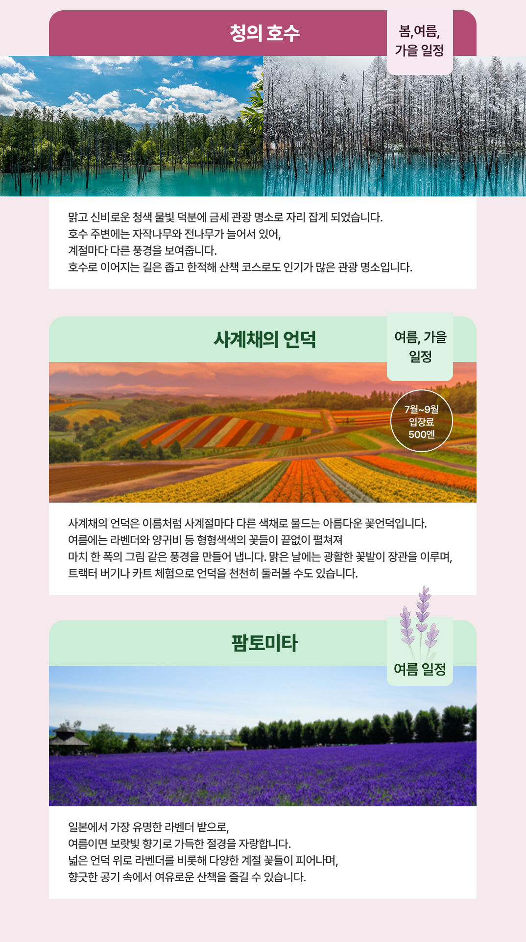 [삿포로 호텔 픽업샌딩] 비에이 후라노 라벤더밭🪻 소규모 일일투어 💛준페이 예약💛 상세 이미지 7