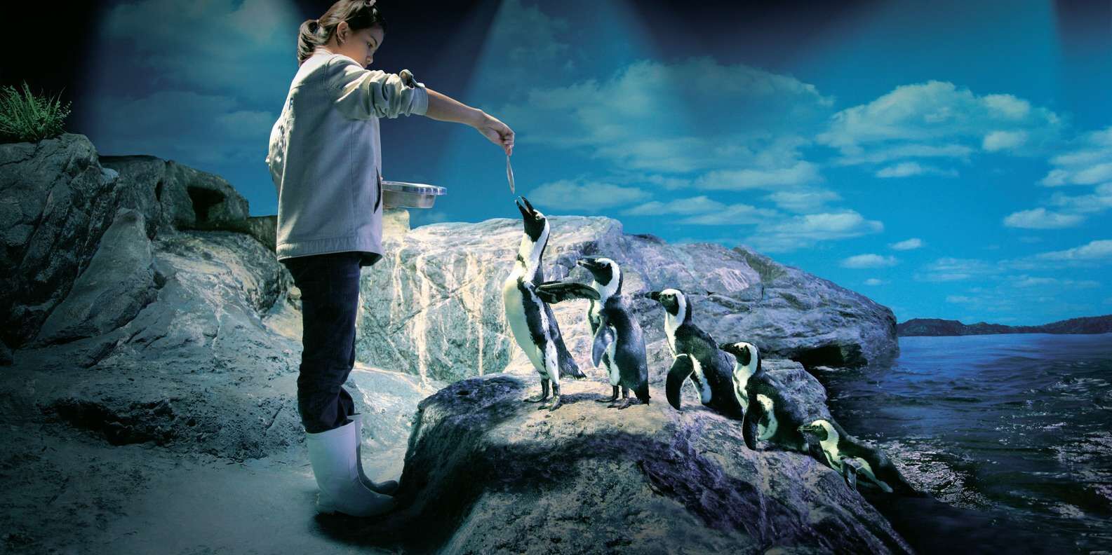 SEA LIFE 오션월드 입장권 (시암 파라곤)