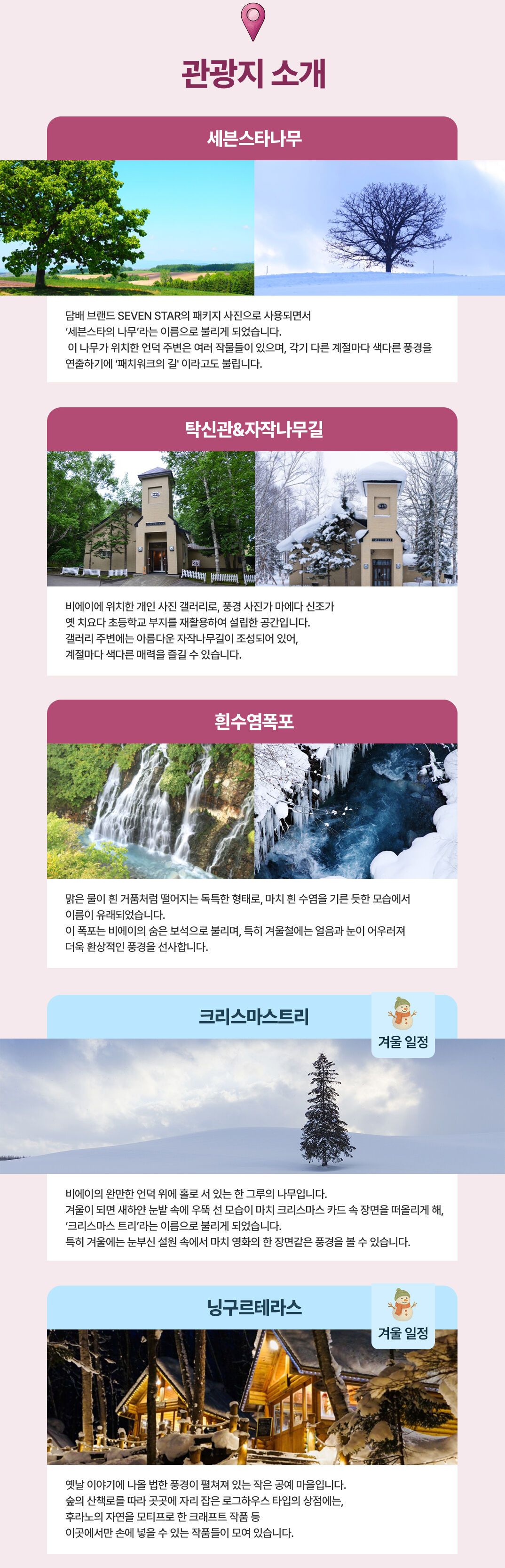 [삿포로 호텔 픽업샌딩] 비에이 후라노 라벤더밭🪻 소규모 일일투어 💛준페이 예약💛 상세 이미지 6