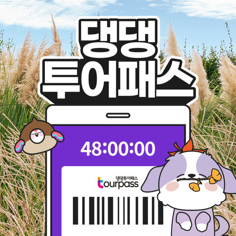 제주도 티켓·입장권 - [제주] 댕댕투어패스